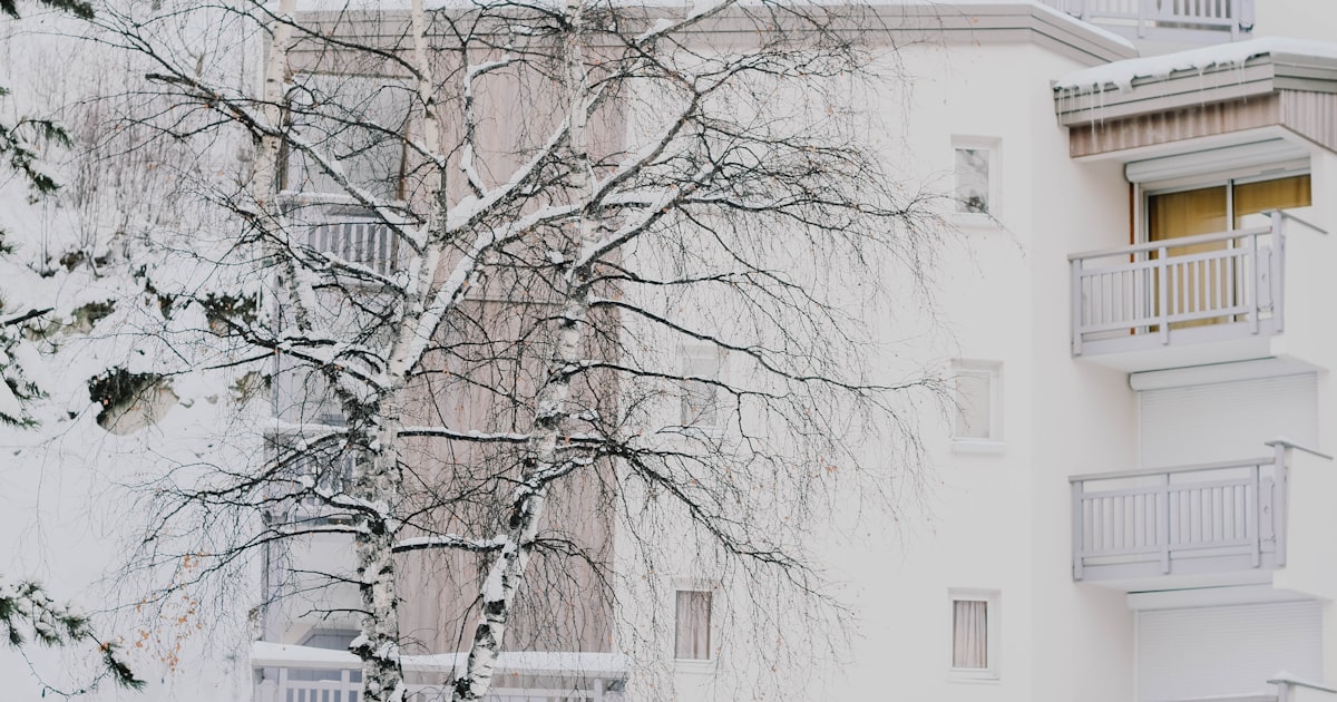 bare tree near white concrete building at daytime
